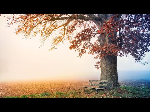 Si te mbrohemi nga Xhehennemi dhe te fitojme Xhennetin ?