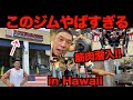 【筋肉潜入】ハワイのパワーハウスジムに行ったらヤバすぎた 〜筋肉夏休み 1日目〜