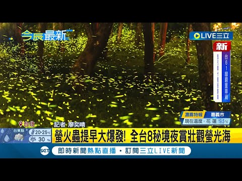 螢火蟲代表數字