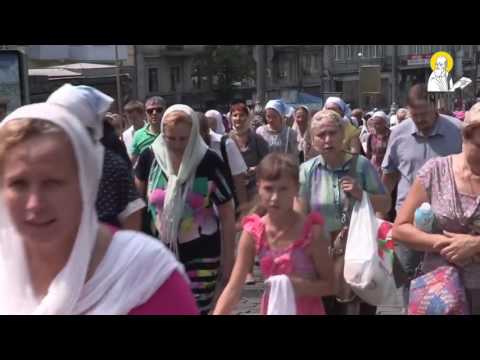 Die Schuppenflechte die Behandlung vom Schnellkraut die Rezensionen Die Analysen bei grudnitschka bei atopitscheskom die Hautentzündung
