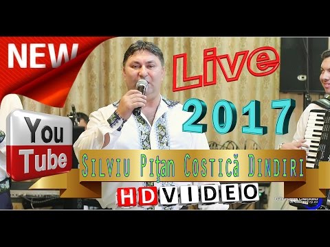 Silviu Pitan si Formatia Dindiri - Beau la birt de-alalta seara, Se duc anii unu cate unu