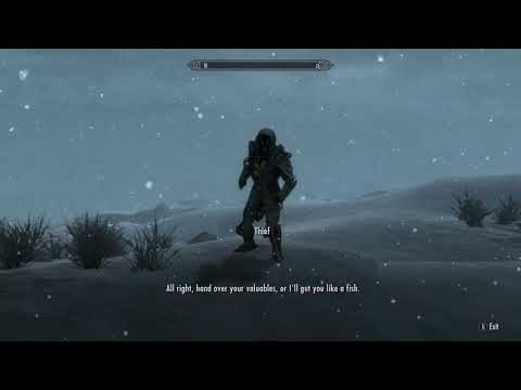 Skyrim - Thief (Random Encounter)