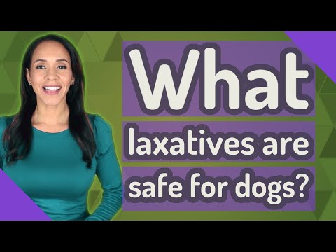What laxatives are safe for dogs?