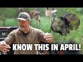 APRIL Tactics FOR MORE TURKEYS Know The Stages
