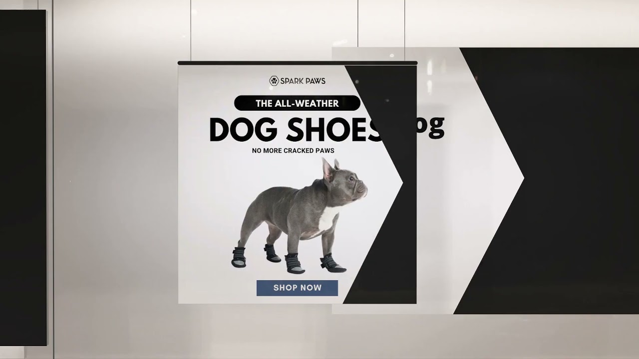 How much does it cost to adopt a dog in New York?
