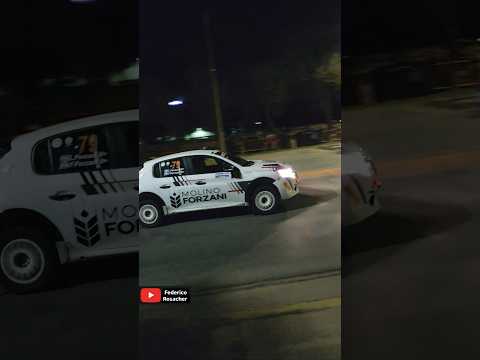 Franco Forzani  - Peugeot 208 - Rally Argentino en San Francisco, Córdoba, Argentina. #autos #car