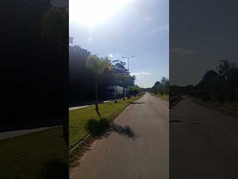 Colônia Francesa Avenida dás Palmeiras em Palmeira Paraná cidade clima do Brasil 🇧🇷💛💙💚