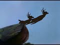 Disney S Bambi 1942 An Chapter Number 010 The Young Stags