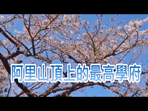 偏鄉兒童生命故事：22【香林國小~ 阿里山頂上的最高學府】