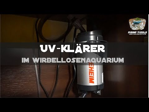 UV-KLÄRER IM WIRBELLOSENAQUARIUM