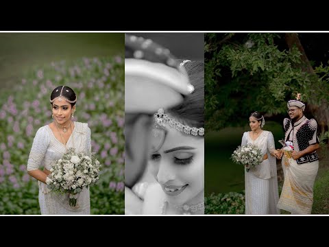 Sachini & Jeewa | Wedding Moment | 2023