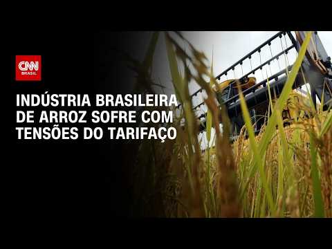 Tarifaço dos EUA agrava crise da indústria do arroz no Brasil; entenda | CNN MERCADO