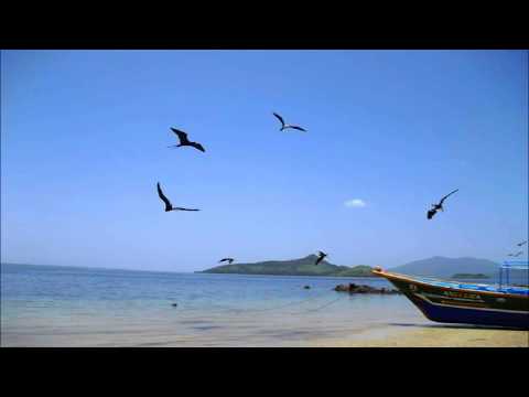 MARCAS DA VIDA - Tema do Filme  NADA A PERDER -  CONTRA TUDO, POR TODOS .