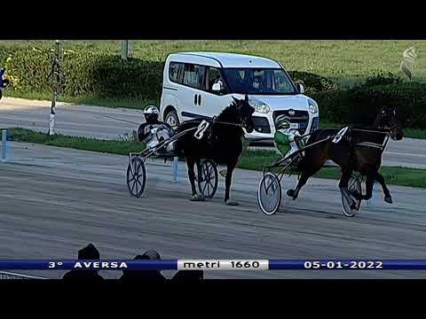 Aversa trotto 5 Gennaio 2022 - 3° Corsa