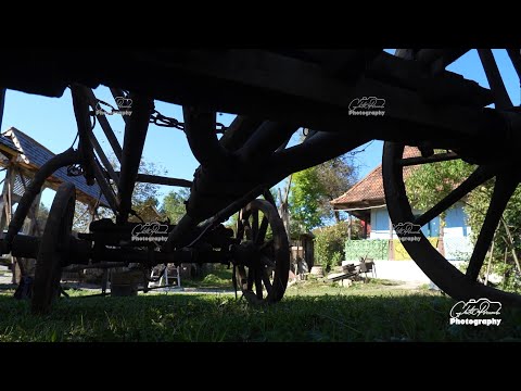 Școala de vară - Cuciulat 2013