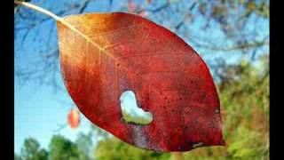 Settembre - Cristina Donà