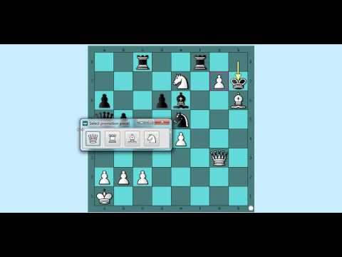 CARLSEN vs NAKAMURA -  Tata Steel 2011 godine - Sicilijanska odbrana  # 791