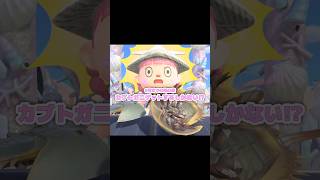 生きた化石をゲットしよう…？！？！#あつ森 #どうぶつの森 #あつまれどうぶつの森 #shortvideo #shorts #short #どう森 #カブトガニ