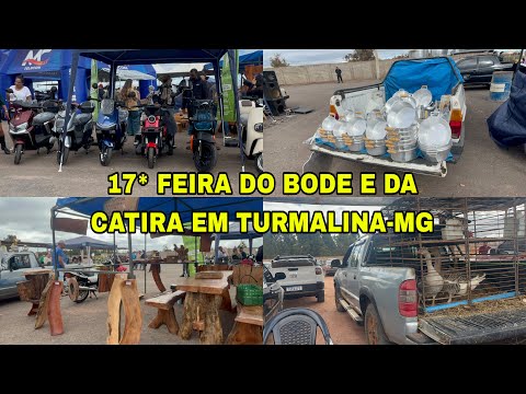 17* FEIRA DO BODE DA CATIRA EM TURMALINA-MG #feira#bodes#turmalina 