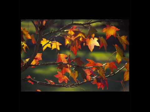Karrin Allyson - Autumn leaves