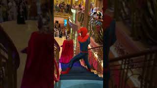 Disney Wonder Down Under