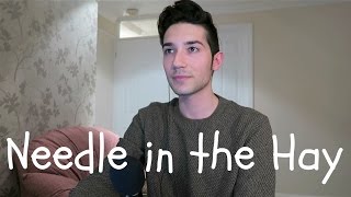 NEEDLE IN THE HAY