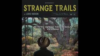 Lord Huron - La Belle Fleur Sauvage (Lyrics )#lordhuron #labellasauvage #strangetrails #lyrics 