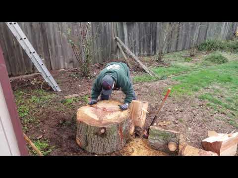 Splitting wood the old fashioned way with 8lb Stihl maul.