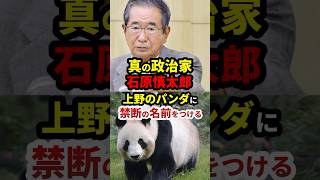 石原慎太郎、上野のパンダに禁断の名前をつける #政治 #shorts