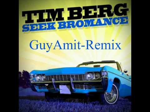 Tim Berg - Seek Bromance (GuyAmit-Remix)