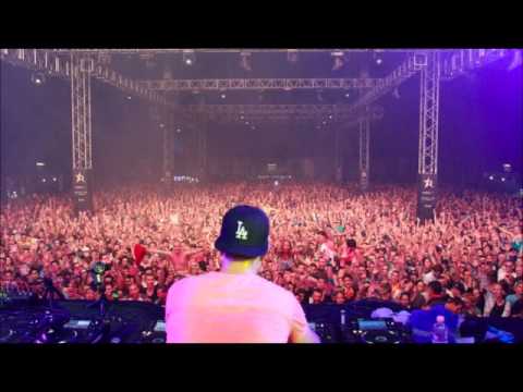 Martin Garrix vs. Yves V & Felguk - Animals, Wow! (DJ DyNeyo Mashup)