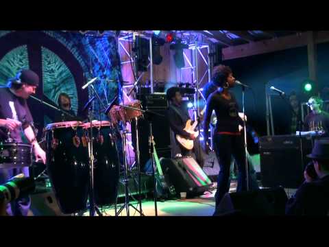 Orgone @ Bear Creek Music Festival, Live Oak, FL 11/11/11