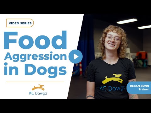 How to Stop Food Aggression in Dogs (2026 Update) | KC Dawgz
