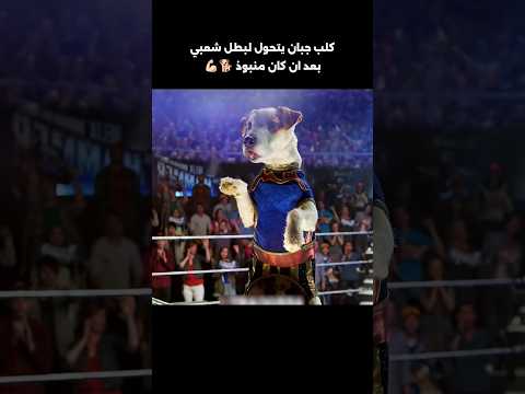 كلب جبان يتحول لبطل شعبي بعد ان كان منبوذ 🐕💪🏻