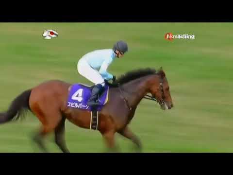 2014 Tenno Sho Autumn G1 - Spielberg (史匹堡) - H.Kitamura