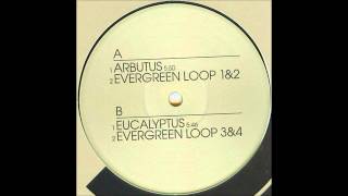 (2002) CSG003 A1: Primordial Nature: "Arbutus"