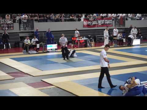 XII Mistrzostwa Polski BJJ 2016