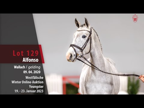 Winter Online Auction Lot 129 Alfonso Wallach v. Aviador - Calmaro