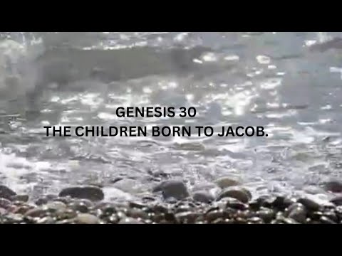 GENESIS 30  THE CHILDREN BORN TO JACOB.