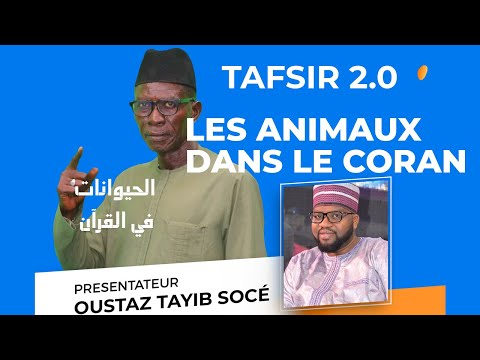 TAFSIR 2.0 du 08-10-2021 / LES ANIMAUX CITES DANS LE CORAN - OUSTAZ TAHIB SOCE # الحيوانات في القرآن