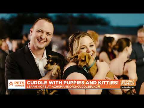 Pets on Parade (Full Episode) October 11, 2025 - YouTube