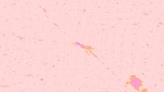 Quello che sento - Cattivi Pensieri