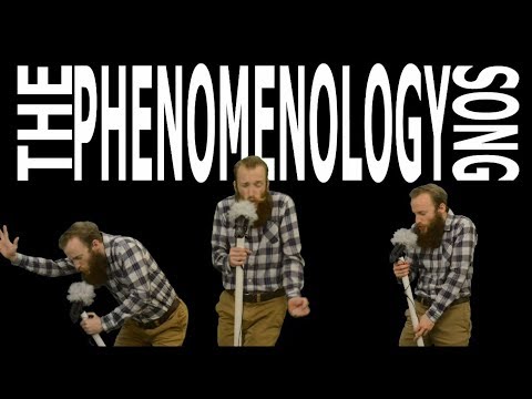 The Phenomenology Song