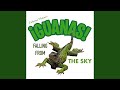 Iguanas Falling From the Sky