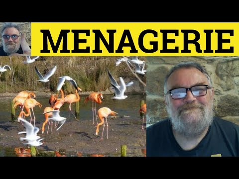 🔵 Menagerie Meaning - Menagerie Examples - Menagerie Definition - French in English - Menagerie
