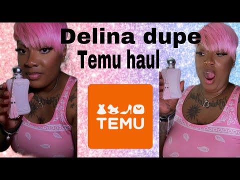 Delina dupe/temu haul