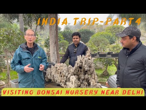 India Trip - Part 4 - Visiting a Bonsai Nursery Near Delhi