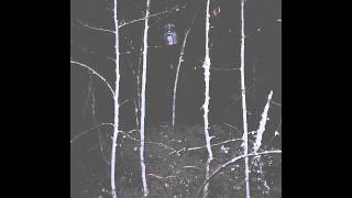 DODHEIMSGARD - On Swords (rehearsal)