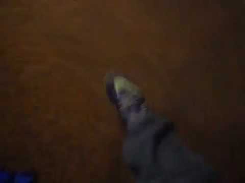 Kada kasnim u školu.