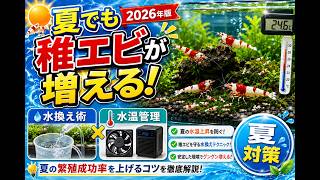 水換え術の解説動画